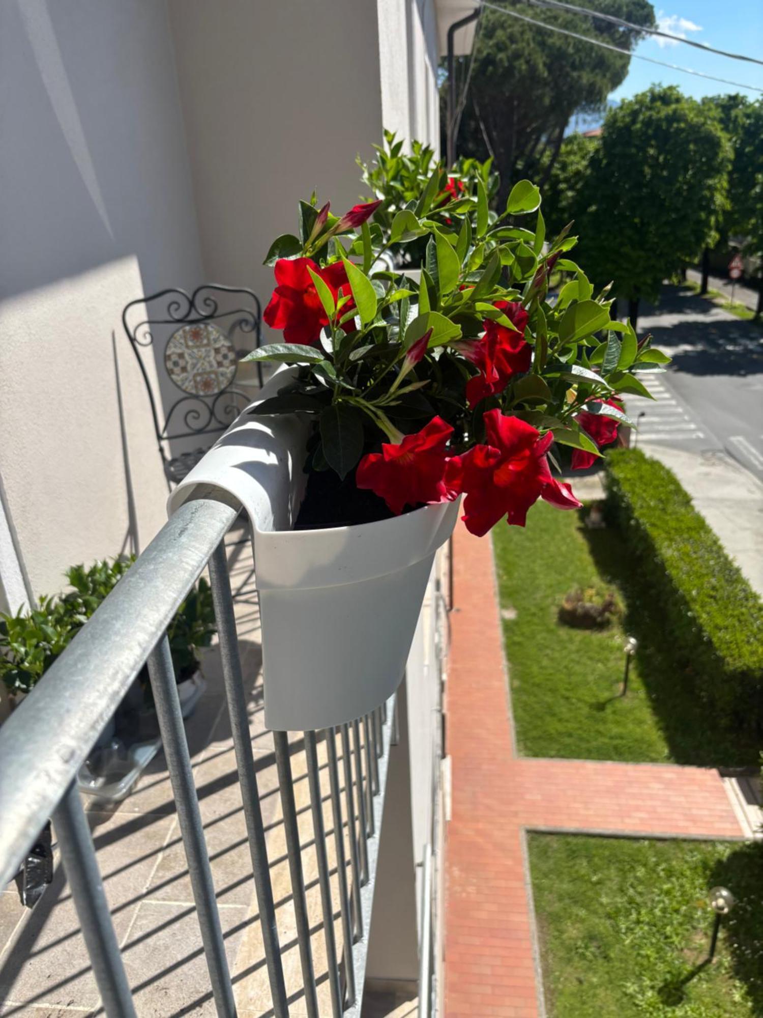 Appartamento La Casa Di Nana' Pisa Esterno foto